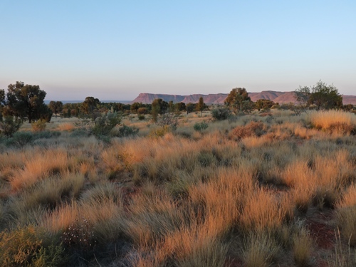 Sunset vor Kings Canyon